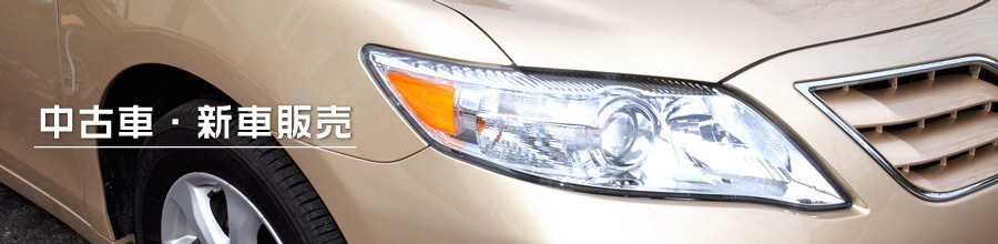 ��ʌ�����s�씵���J �Ԍ��}�� ���ÎԁE�V�Ԕ̔�