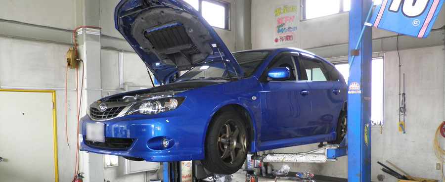 �Ԍ��}�� l �Ԍ������A�L�Y�E�w�R�~�A���(��)�h�� �܂�؂������� ��ʌ�����s